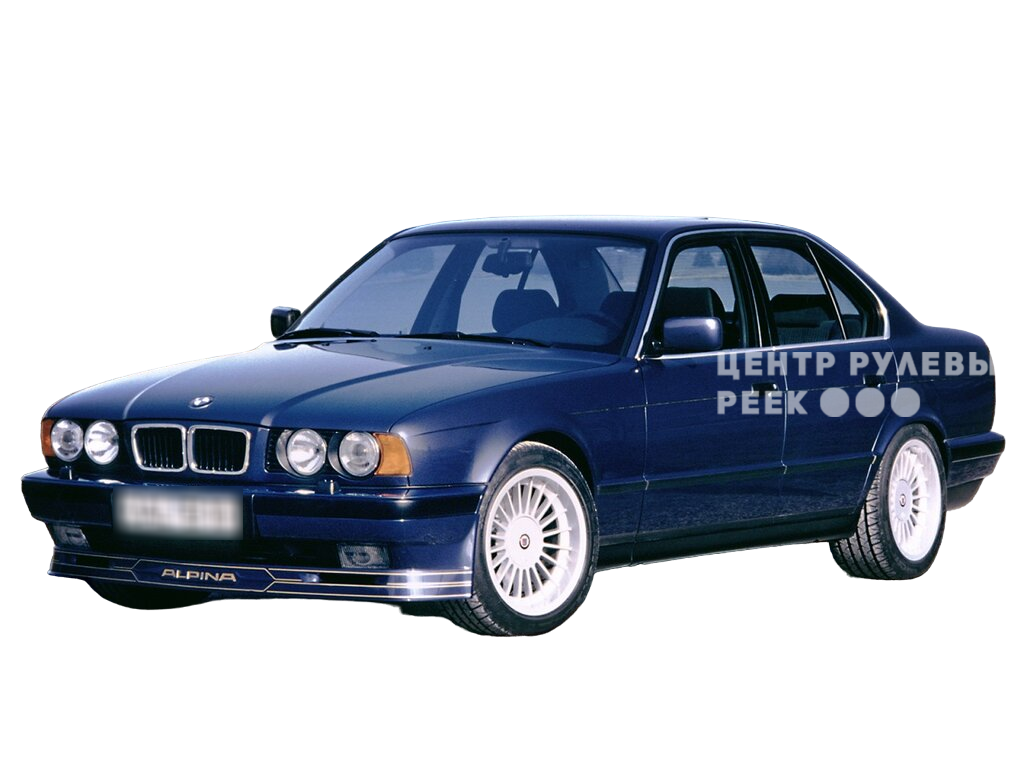Альпина В10 2