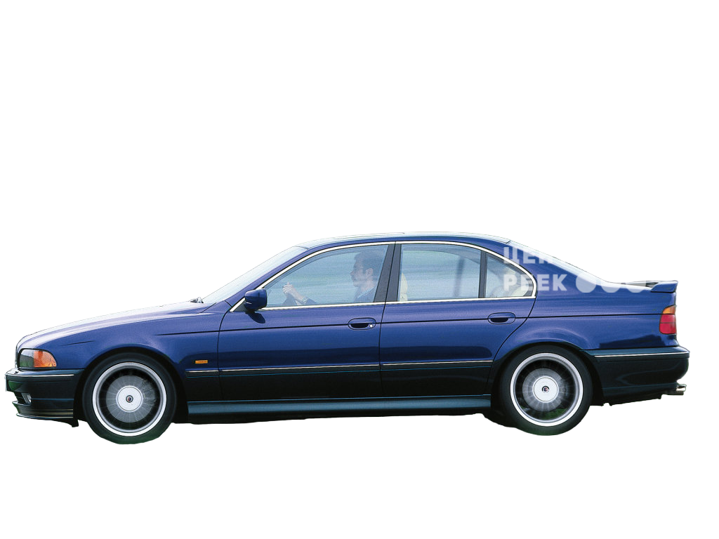 Альпина В10